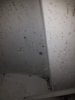 20180318_191516.jpg