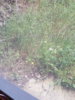 20180514_131824.jpg