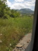 20180514_131811.jpg
