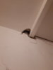 20180918_193334.jpg