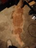 IMG_20191203_204136.jpg