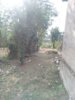 IMG_20190826_171005.jpg