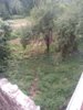 IMG_20190825_161349.jpg