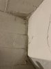 IMG_6381.jpeg