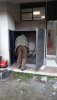 IMG-20210219-WA0005.jpeg