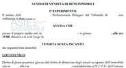 Immagine 1.png