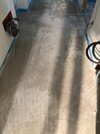 IMG_6019.jpg