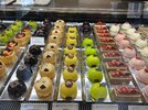 IMG_3978.jpeg