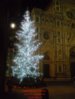 AUGURI DI fIRENZE.jpg