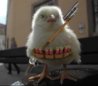 pulcino_cacciatore.jpg