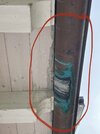 IMG_0403.jpeg