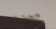 Screenshot 2024-02-25 114800.png