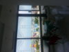 20130814_133622.jpg