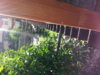 20140714_084328.jpg