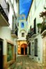 MARBELLA RESORT DI LUSSO16.jpg