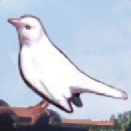 Il Merlo Bianco