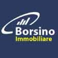 borsinonet