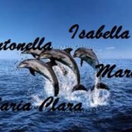 Agenzia Delfino