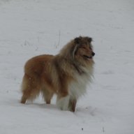Olghetta