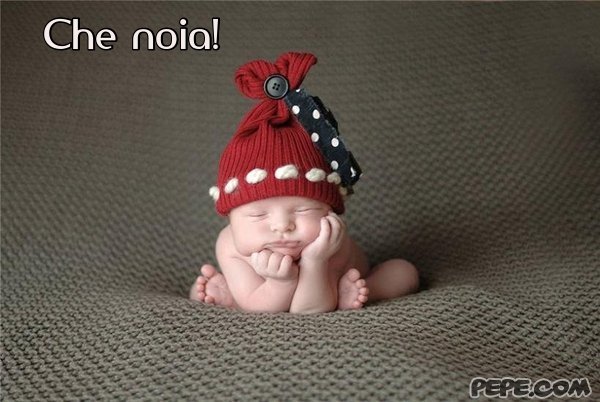 che_noia_1.jpg