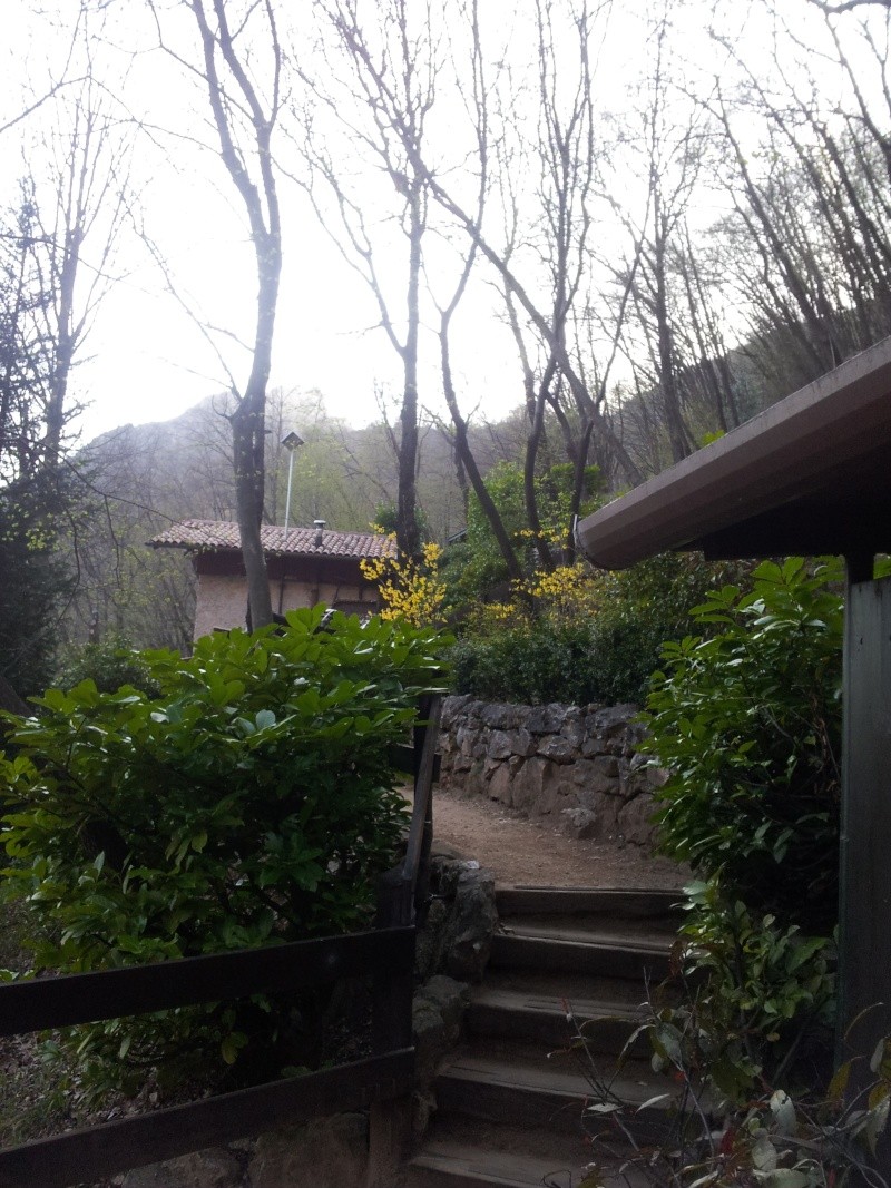 20150414.jpg