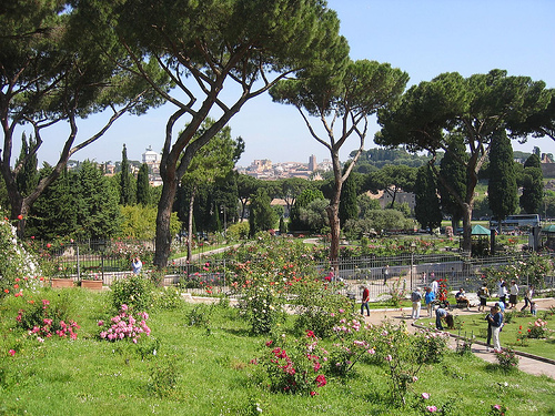 roseto20comunale.jpg