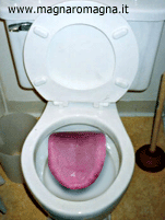 wc-leccante1.gif