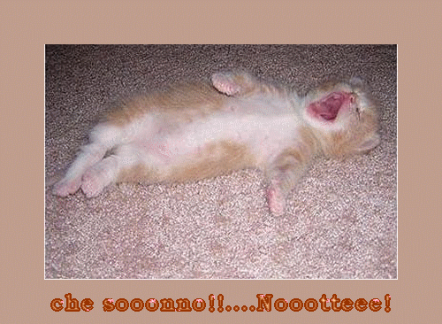 che-sonno-finale.gif