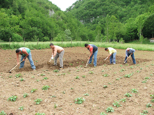 lavori-forzati.jpg