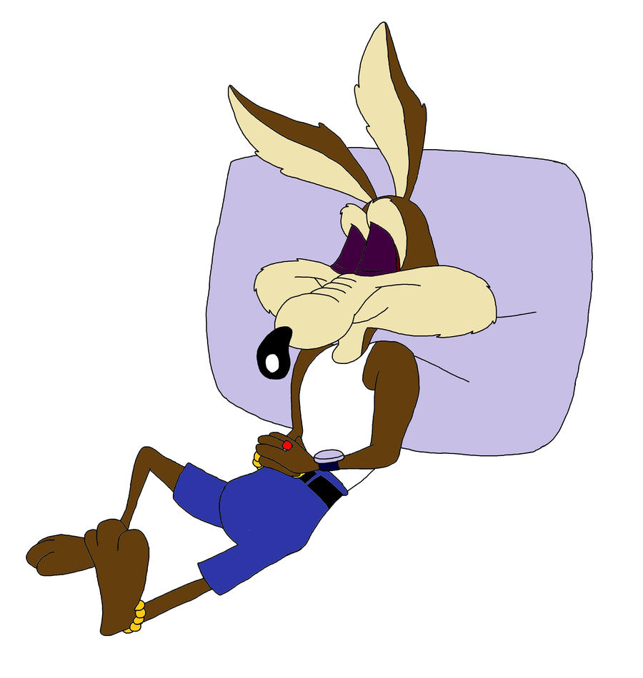 wile_e__coyote_sleeps_by_artist892-d38u7wb.jpg