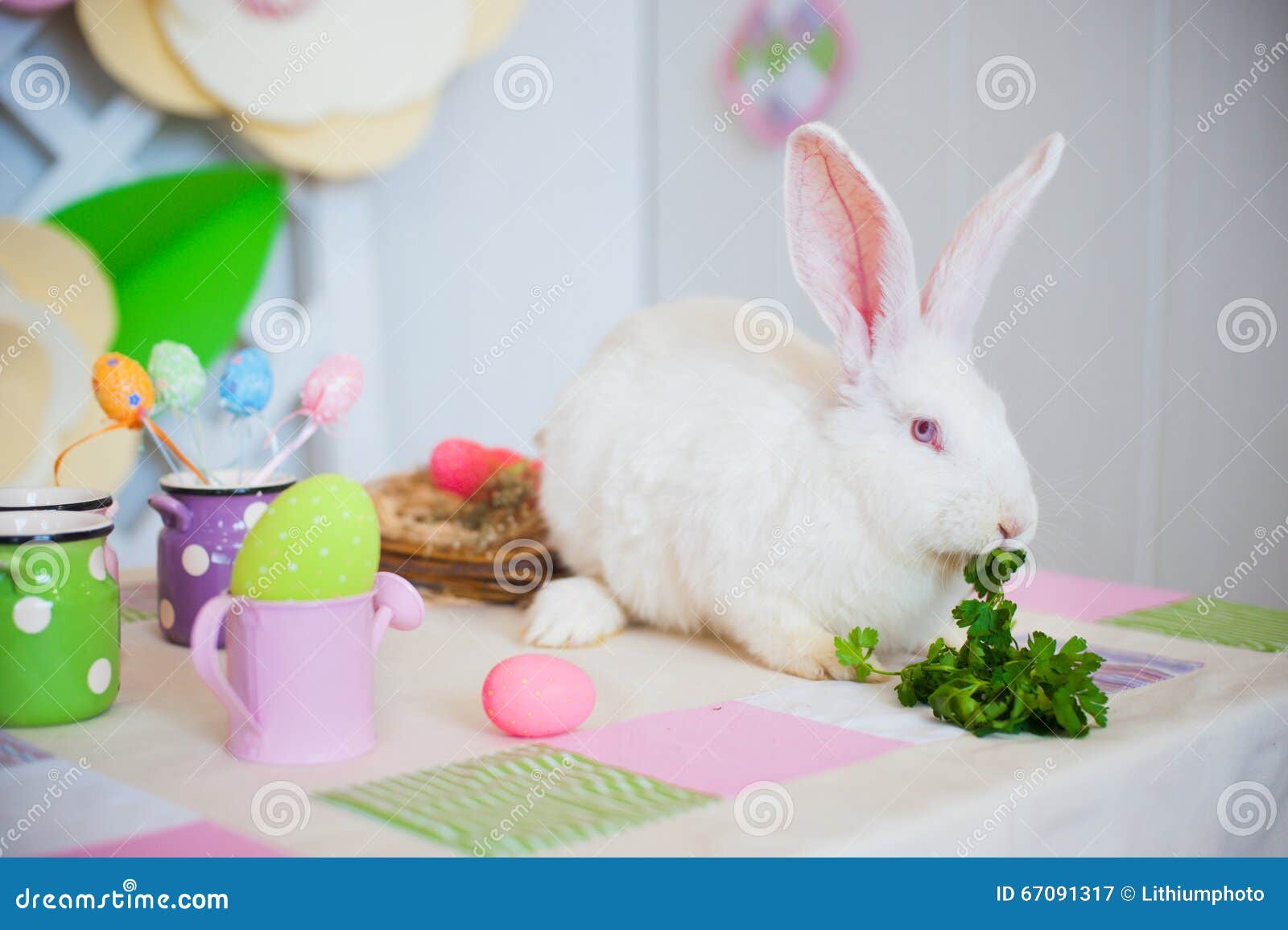 coniglio-di-pasqua-che-mangia-prezzemolo-67091317.jpg