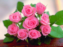 rose-jpg.5213