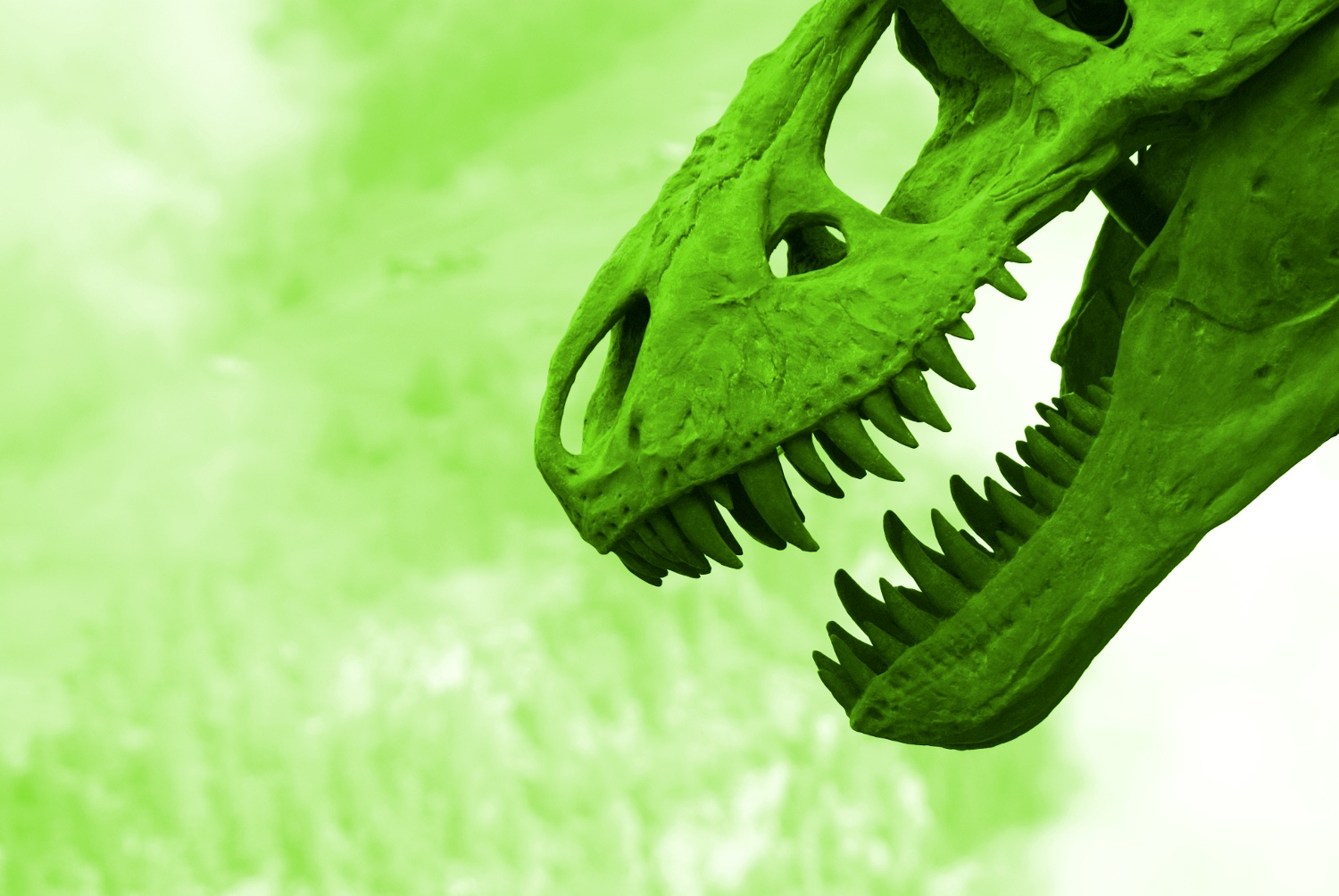 dinosauro.jpg