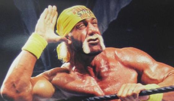 hulkhogan3.jpg