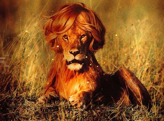 leone.jpg