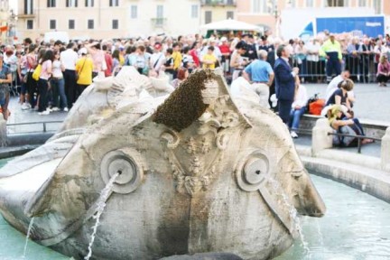 apisullabarcaccia1.jpg